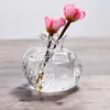 Vases Cute Pomegranate Shape Vase Transparent Glass Hydroponic Creative Fruit Cachepot Flower For Home Decoration