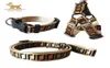 FF – ensemble de laisses de luxe pour chien, 3 pièces, collier et chaîne, pour petits chiots, Chihuahua, caniche, Corgi, carlin, H11229929519