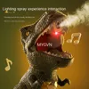 Hit Me Dinosaur, Shooting Toy Gun Set Can Walk Light Smoke Sound Scoring Battle Game Target for Boys Children Indoor Outdoor Toy Gun Birthday