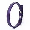 Rainbow Pet Collar Spring Fall Senaste hundar Leases Outdoor Pure Pu Leather Bulldog Katter Kolvhalsen Leases