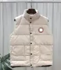 Canadian Usa Winter Outdoor Popularity Mens Down Vests Luxury Bodywarmer Fashion Jackets Mens Gilet Designer Coat Male Doudoune Luxe Goose Veste 2023