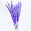 Decorative Flowers Wedding Home Bulrush Natural Artificial Plants Branch Colorful Fleurs Sechees Pampas Grass Phragmites Flower Decor