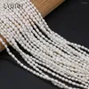 Loose Gemstones Real Natural Freshwater Pearl Rice Beads Spacer Pearls For Jewelry Making DIY Necklace Bracelet Accessories 3-4mm