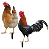 Garden Decorations Backyard Chicken Insert Decorative Inserts Outdoor Statues Animal Stakes