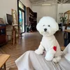 犬のアパレルジャケットセーターコート暖かいニットジャンパー子犬服犬用ソフトペット