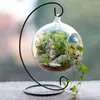 Vases 10cm Suspendus Fleurs En Verre Plante Vase Pot Terrarium Conteneur Support En Métal