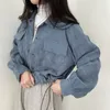 Damen Pelz Faux Crop Jacke Cord Pure Simply Vintage Koreanische Mode Buttonup Kleidung Baggy Temper Teens Streetwear 231108
