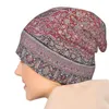 Bérets Bohème Boho Style Chapeaux De Mode Tabriz West Central Chapeau Mince Bonnet Spécial Skullies Bonnets Casquettes Hommes Femmes Cache-oreilles