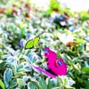 Garden Decorations Decoration Butterflies Yard 100pcs 4cm DIY Fairy Decorat Home Lawn Ornament Pot Outdoor PVC Party