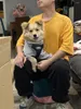 Dog Apparel Pet Clothes Soft Sweatshirt Italian Greyhound Whippet Autumn And Winter Waffle Four Legged For Small Medium