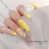 Decorazioni per nail art 300 pezzi ciondoli 3D decorazione unghie design decalcomanie per donne ragazze strumento artigianale fai da te accessori per saloniunghia