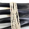 Beads Natural Freshwater Pearl 3mm Beaded High Quality Rice Shape Punch Loose For Make Jewelry DIY Bracelet Necklace Accessories