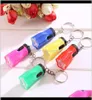 المصابيح الضوئية المشي لمسافات طويلة التخييم في الهواء الطلق LED Mini Keychain Super Bright Fright Flower Torch Flower Shape سلسلة مفاتيح ZZA851 5AZBF 8CZHO2113009