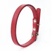 Rainbow Pet Collars Spring Fall Latest Dogs Leashes Outdoor Pure PU Leather Bulldog Cats Collars Leashes
