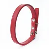 Rainbow Pet Collar Spring Fall Senaste hundar Leases Outdoor Pure Pu Leather Bulldog Katter Kolvhalsen Leases