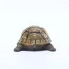 Garden Decorations Tortoise Resin Statues Funny Courtyard Floor Ornaments Decor Landscape Crafts Gift