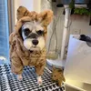 デザイナー犬の服の古典的な古い花の犬アパレル暖かい豪華な犬のパーカー寒い天気コート居心地の良い風のない暖かい犬ジャケット小さな犬のための小さな熊の形状sa881