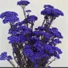 Dekorativa blommor 50 g naturlig hir frukt torkad blomma konstgjorda julgran års vardagsrum dekoration bröllop ornament