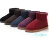 mini snow boot Women popular Australia Genuine Leather Boots Fashion Women's Snow Boots