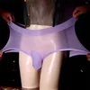 Calzoncillos lencería sexy hombres bragas ropa interior para hombre sissy calzoncillos bikini largo bulto bolsa g-string tanga elástico masculino