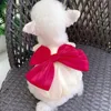 Hundkläder Summer Fashion Bow Hanging Dress Pet Dog Wedding Dress Dog Clothing Small Print Söt tunnstor Dog Pichuawa 231109