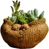 庭の装飾模倣竹織りラタン動物小さなバスケット樹脂多肉植物植木鉢彫像装飾家具