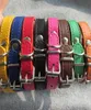 20pcslot Cheap PU leather pet collar cat dog collar for small dogs mixed color available4561409