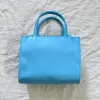 Frauen klassische Designer Handtasche reine Farbe Hochwertige Einkaufstaschen Zwei Größen verfügbarer interner Abstand großer Kapazität Achselbeutel Herbst Winter Plüsch Taschen kostenloser Versand