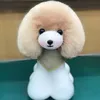 Dog Apparel 2 PCS Teady Bear Head Wigs Only Pet Grooming Tool Groomer Trimming Practice Model Dog Head Fur No Head 231109