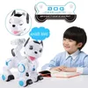 Freeshipping K10 Intelligent Dog Remote Control Robot Dog programmabile Touch-sense Music Song Toy per bambini Prdvr