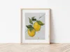 Still Life Modern Art, Lemon Tree Oil Painting for Kitchen,Dinning Room,Fruit Wall Art Painting on Canvas,Hand Painted Artwork