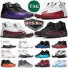 12s cereja com caixa mens basquete sapatos 12 campo roxo brilhante laranja stealth realeza gama azul hiper real universidade ouro esportes tênis treinador