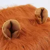 Inne zaopatrzenie psa Pet Pies Dog Lion Mane Wig Cap Hat for Cat Dog Halloween Costume Dekoracja Kostium Duże psy Cosplay Pet Akcesoria 231110