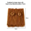 Andra hundförsörjningar Coat Hoodie Lion Modeling Jumpsuit Winter Autumn Pet Hat Wig Cap Hat Pet Cosplay Outfits Lion Mane Pet Costume 231109