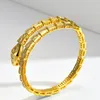 Nouveau bracelet de créateur bulgare bracelet bijoux anneaux en acier inoxydable strass serpent bracelets or argent rose Champagne mens bracelets femmes cadeaux de fête