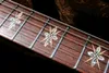 Custom Reed Smith Amber Brown Flame Maple Dgt David Grissom Signature Elektrisk gitarr mycket sepcial fingerplatta inlay 258