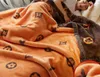 Ny vinter Laschel-filt Dubbelskikt förtjockad termisk täcke Student sovsal vinterfilt kontor tupplur täcke filtar