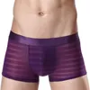 Caleçon Sexy hommes sous-vêtements maille Boxer Transparent Ultra-mince Jockstrap mâle taille basse hommes Shorts culottes Boxershorts
