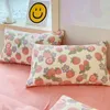 Set di biancheria da letto 150/180/200CM Lenzuolo in velluto corallo rosa fragola Copripiumino Federa Set di biancheria da letto invernale caldo in quattro pezzi M038-11 231110