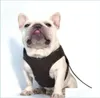 Hundhalsar Leases Designer Dog Harness Leases Set Pu Leather Stepin Harnesses Soft Air Mesh Justerbar PET VEST FÖR LITT MEDI8715063