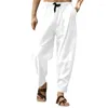 Pantalons pour hommes Style chinois traditionnel rétro hommes lin Cargo décontracté ample jambe large Zen Wushu ethnique Tang pantalon bas