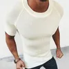 Herren T-Shirts 2023 Frühling Sommer Muscle Herren Slim Fit Strickhemd Solide Kurzarm Strickoberteil Für Herren Casual O Neck Pullover Strickwaren