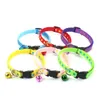 Colliers pour chiens Laisses En gros 100 pièces colliers pour animaux de compagnie petite et moyenne taille personnalisé chat laisse accessoires multicolore chien collier mode 231110