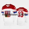 Weng Team Czech Republic 2022 Hockey Jersey 88 David Pastrnak 46 David Krejci 13 Jakub Vrana 19 Tomas Hertl 17 Filip Hronek 34 Petr Mrazek 6