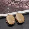 Dangle Earrings Hermosa Fantasy Charm Natural OceanJasper for Women 1 5/8インチNY1283