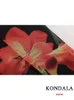 Vestidos casuais básicos kondala vintage flor impressão chiffon longo strapless dres moda 2023 verão plissado em linha reta elegante mujer vestido 231110