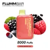 Chegada nova Vaper Flumm Bar 8000 Puffs Vape Descartável 13ml 650mAh Vaporizador Recarregável Vapes Pen Personalizado E Cigarro Flumm Atacado