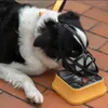 Köpek taşıyıcı içme suyu ağız kapağı anti ısırık ve havlama büyük maske sınır collie orta büyük durma havlama