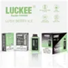 LUCKEE TURBO 10000 bouffées 22 ml d'e-liquide Batterie 600 mAh Type-C rechargeable à double maille Mode TURBO avec indicateur LED avec débit d'air réglable