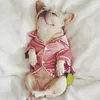 Luxury Pet Dog Pajamas Soft Silk French Bulldog Pajamas Pet Coat Puppy Clothing Stone Puppy Cat Clothing XS-2XL 231109